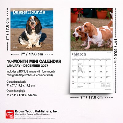 2027 BrownTrout Basset Hounds 7" x 7" Monthly Wall Calendar, Assorted Colors (9798330714094)