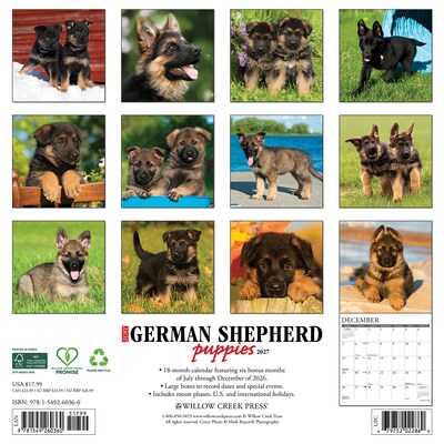 2027 Willow Creek German Shepherd Puppies 12 x 12 Monthly Wall Calendar, Assorted Colors (60360)