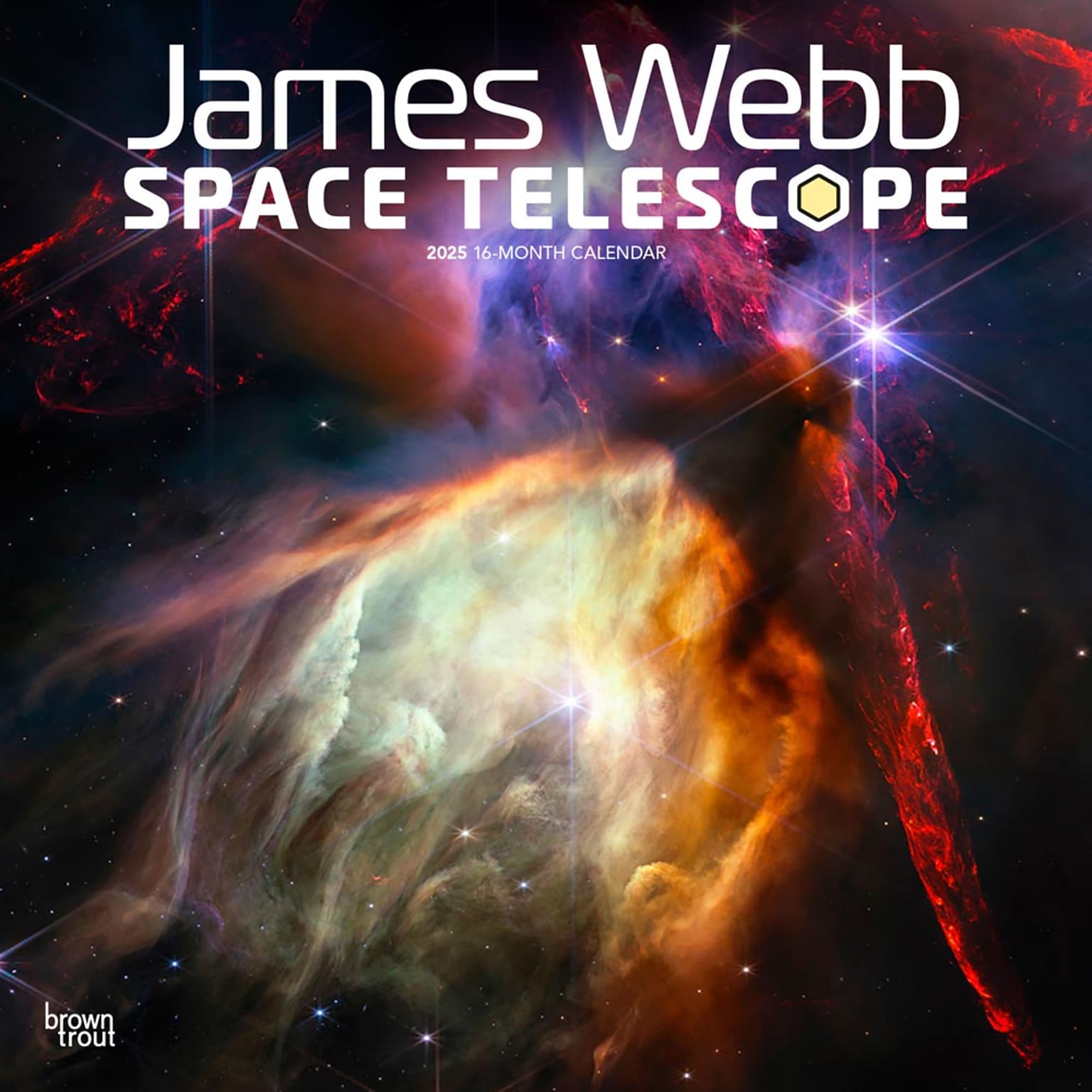 2025 BrownTrout James Webb Space Telescope 12 x 12 Monthly  Wall Calendar (9781975476465)
