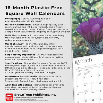 2025 BrownTrout Desert Wildflowers 12" x 12" Monthly  Wall Calendar (9781975476014)