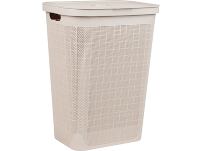 Mind Reader 15.85-Gallon Hamper with Lid, Plastic, Ivory (60FABHAMP-IVO)