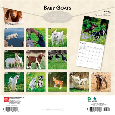 2026 BrownTrout Baby Goats 12 x 12 Monthly Wall Calendar (9798330702268)