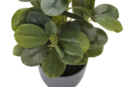 Monarch Specialties Inc. 14" Artificial Ficus Elastica Plant in Pot, 2/Set (I 9558)