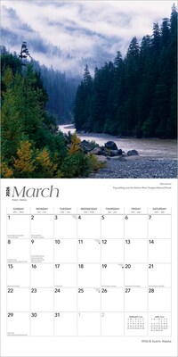 2026 BrownTrout Alaska Wild & Scenic 12" x 12" Monthly Wall Calendar (9798330702046)