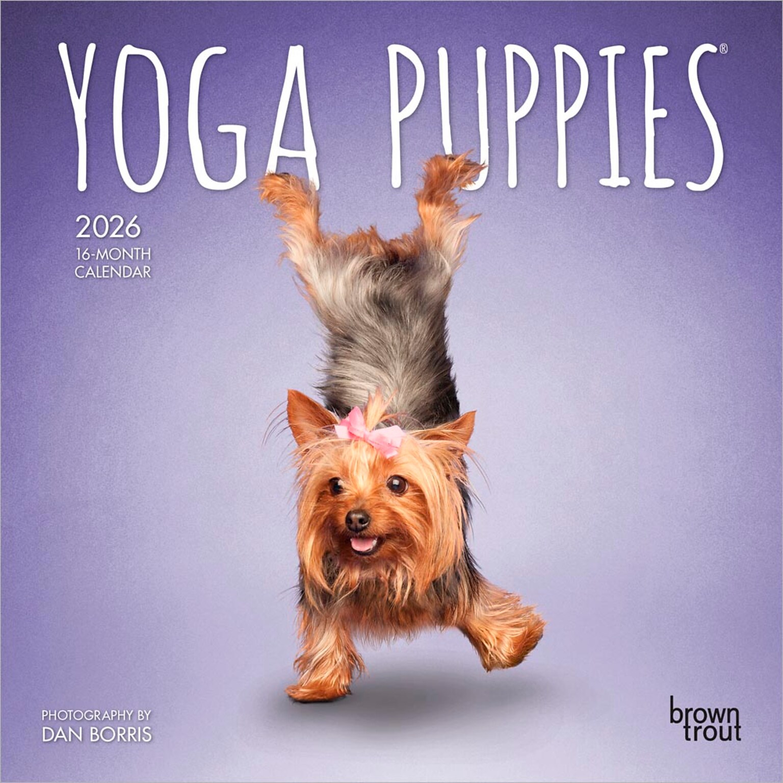 2026 BrownTrout Yoga Puppies 7 x 7 Monthly Wall Calendar (9798330701988)