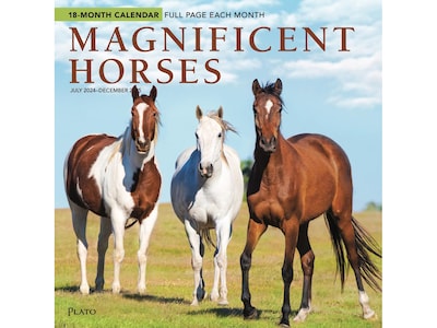 2024-2025 Plato Magnificent Horses 12 x 12 Academic & Calendar Monthly Wall Calendar (978197548133