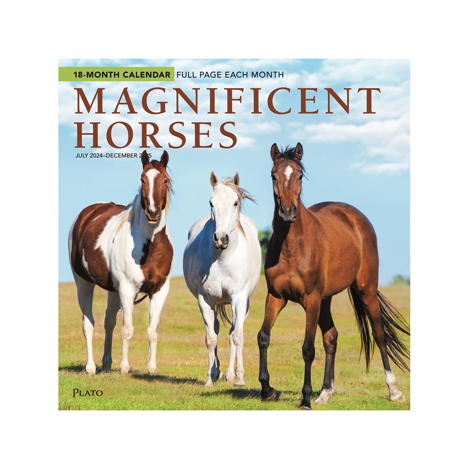 2024-2025 Plato Magnificent Horses 12 x 12 Academic & Calendar Monthly Wall Calendar (9781975481339)