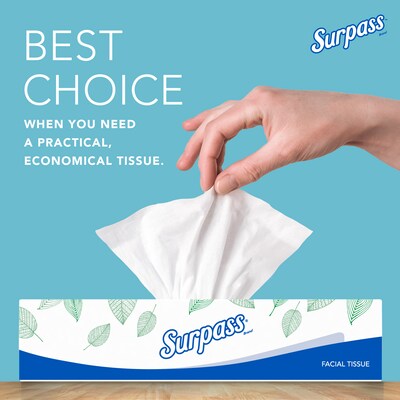 Surpass Standard Facial Tissue, 2-Ply, 100 Sheets/Box, 30 Boxes/Pack (21340)