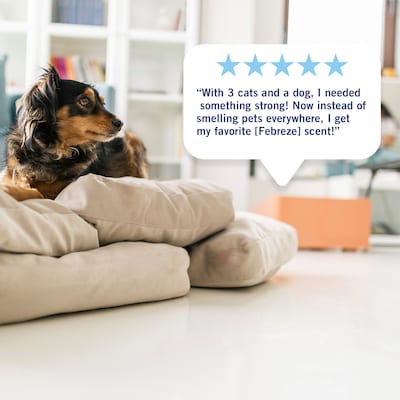 Febreze PLUG Luxe Oil Warmer Refill, Elemental Mix Scents, 0.87 oz., 3/Pack (16249)