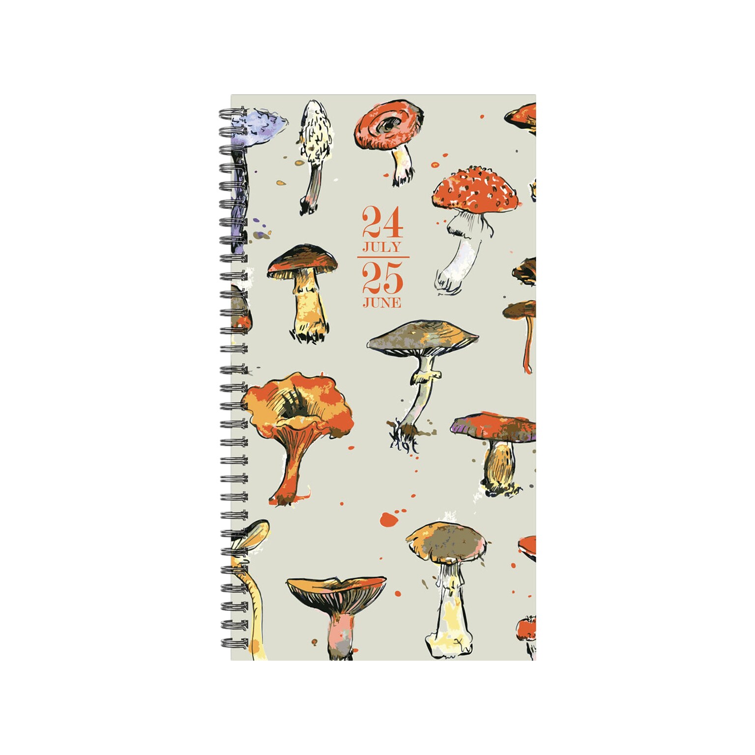 2024-2025 Willow Creek Cottage Mushrooms 3.5 x 6.5 Academic Weekly & Monthly Planner, Paper Cover, Multicolor (47682)