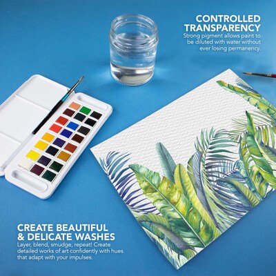 Daler-Rowney Aquafine Watercolor Paint, Assorted Colors (DRW131900102)