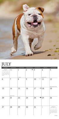 2025 Willow Creek Just Bulldogs 12" x 12" Monthly Wall Calendar (42038)