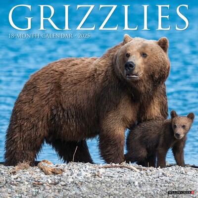 2025 Willow Creek Grizzlies 12 x 12 Monthly Wall Calendar (43240)