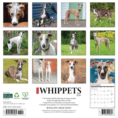 2026 Willow Creek Whippets 12 x 12 Monthly Wall Calendar (53232)