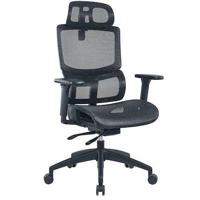 Lorell Ripley Ergonomic Mesh Swivel Executive Chair, Black (LLR63200)
