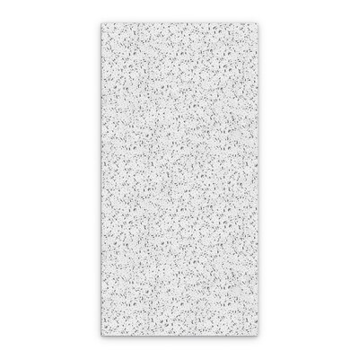 Armstrong CORTEGA Angled Tegular 2x4 White Ceiling Tile, 10/Carton (703B)