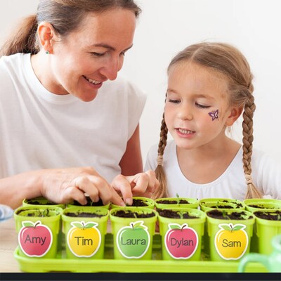 Creative Teaching Press Apple Time Apples Designer Cut-Outs, 36/Pack, 3 Packs/Bundle (CTP11059-3)