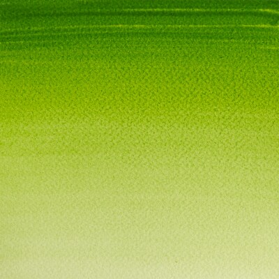 Winsor & Newton Watercolor Paint Tube, Sap Green (WNX0308599)
