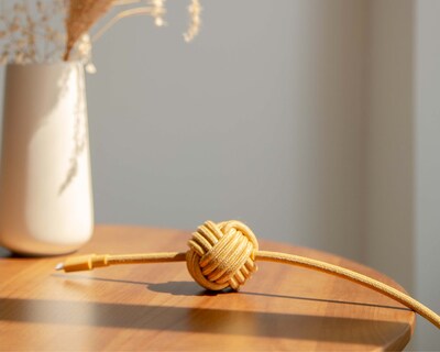 10 Night Cable (USB-C to Lightning)