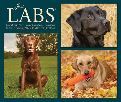2027 Willow Creek Just Labs 5.4" x 6.2" Day-to-Day Calendar (63569)