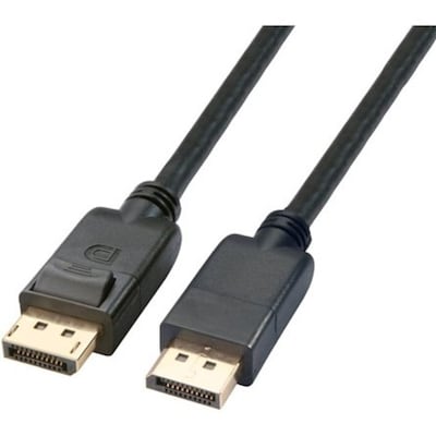 Axiom 6 ft. DisplayPort Cable, Male-to-Male, Black (DPMDPM06-AX)