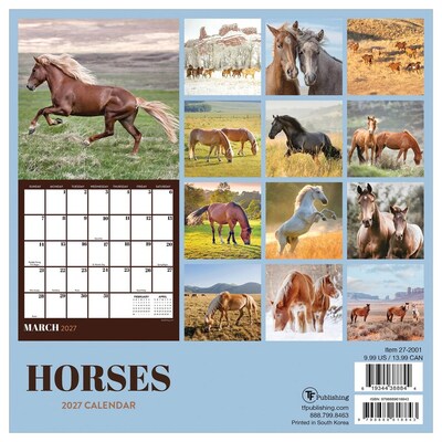 2027 TF Publishing Horses 7" x 7" Monthly Wall Calendar, Multicolored (27-2001)