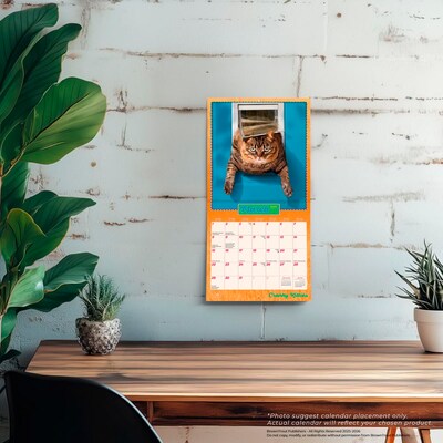 2026 BrownTrout Avanti Cranky Kitties 7" x 7" Monthly Wall Calendar (9798330701407)