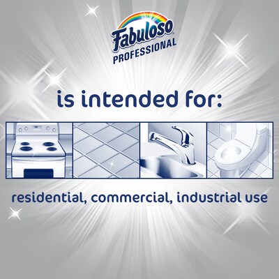 Fabuloso Professional All Purpose Cleaner & Degreaser, Ocean Scent, 1 Gal., 4/Carton (US05252A)