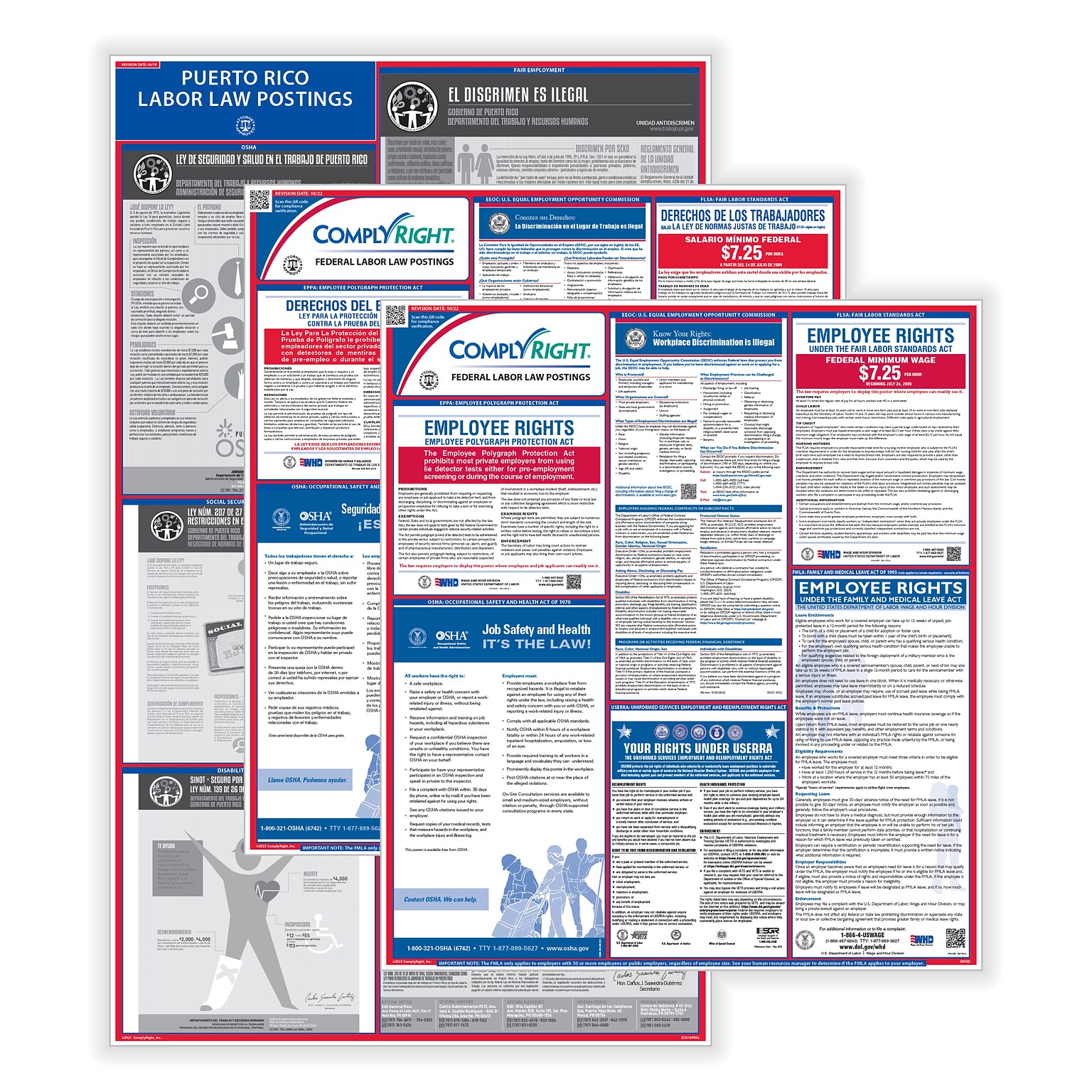 ComplyRight Federal (Bilingual) and State (English) Labor Law 1-Year Poster Service, Puerto Rico Spanish (U1200CBOPRS)