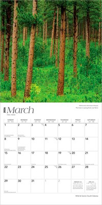 2026 BrownTrout South Dakota Wild & Scenic 12" x 12" Monthly Wall Calendar (9798330705665)