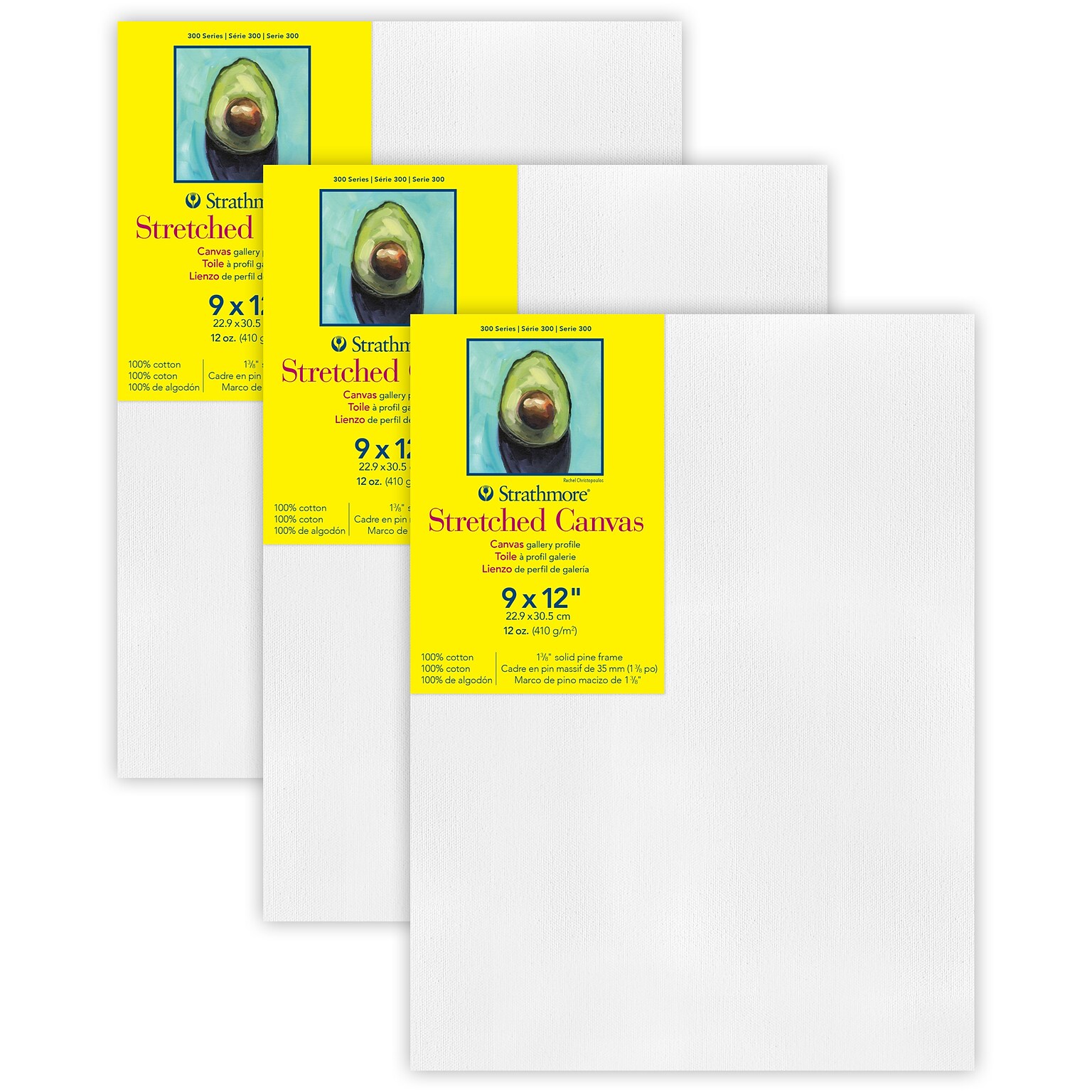 Strathmore 300 Series Primed Gallery Stretched Canvas, 9x12 inch, Pack of 3 (STT31409-3)