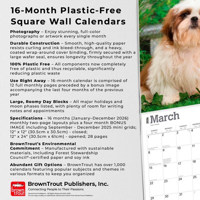 2026 BrownTrout Shih Tzu Puppies 12" x 12" Monthly Wall Calendar (9798330705559)