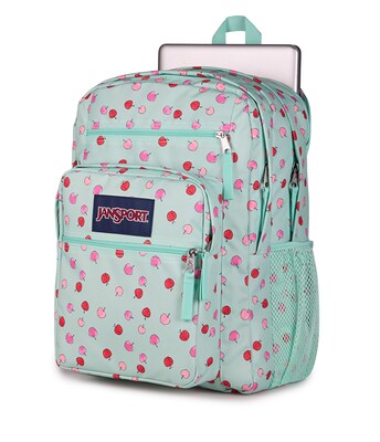 JanSport Big Student Laptop Backpack, Large, Apple Orchard (JS0A47JKA3D)