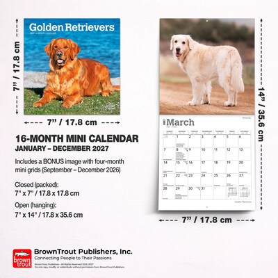 2027 BrownTrout Golden Retrievers 7" x 7" Monthly Wall Calendar, Assorted Colors (9798330714209)