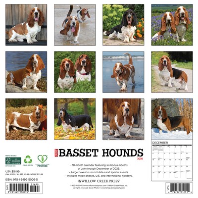 2026 Willow Creek Basset Hounds 12 x 12 Monthly Wall Calendar (50095)