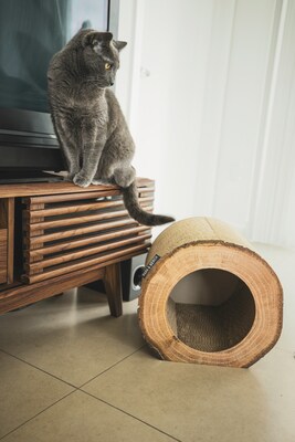 Park & Bench Unique Design Cat Scratcher, Cardboard  - Birch (PPN600013)