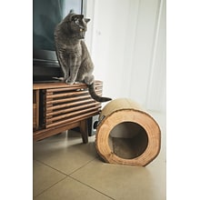 Park & Bench Unique Design Cat Scratcher, Cardboard  - Birch (PPN600013)