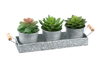 Monarch Specialties Inc. 6 Artificial Succulent in Pot, 3/Set (I 9372)