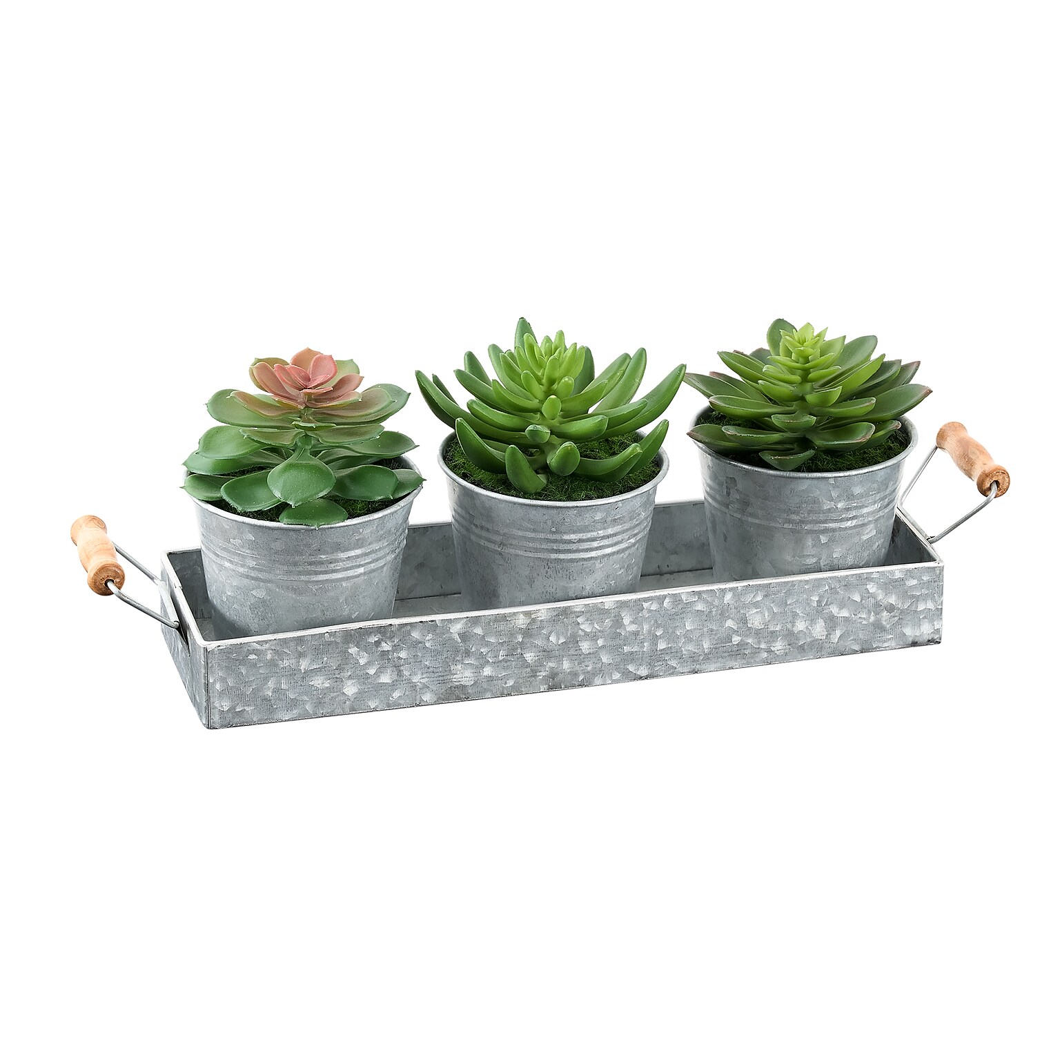 Monarch Specialties Inc. 6 Artificial Succulent in Pot, 3/Set (I 9372)