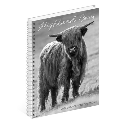2027 Willow Creek Highland Cows 6.5" x 8.5" Weekly & Monthly Desk Calendar (64412)