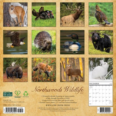 2027 Willow Creek Northwoods Wildlife  12 x 12 Monthly Wall Calendar (61541)