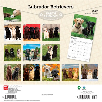 2027 BrownTrout Labrador Retrievers 12 x 12 Monthly Wall Calendar (9798330712540)