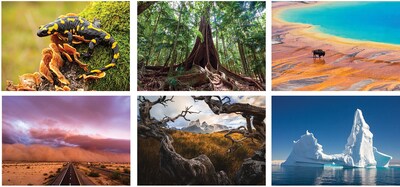 Custom Coronado Amazing Nature Spiral Wall Calendar