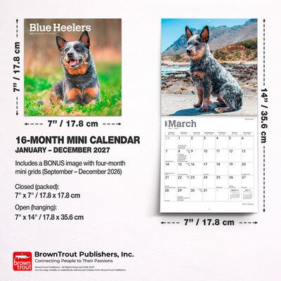 2027 BrownTrout Blue Heelers 7" x 7" Monthly Wall Calendar, Assorted Colors (9798330709908)