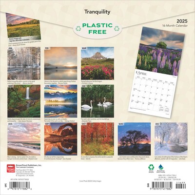 2025 BrownTrout Tranquility 12" x 12" Monthly Square Wall Calendar (9781975477882)