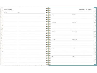 2024-2025 Blue Sky Splatter Dot Jade 8.5" x 11" Academic Weekly & Monthly Planner, Plastic Cover, Mint/Gold (149043-A25)