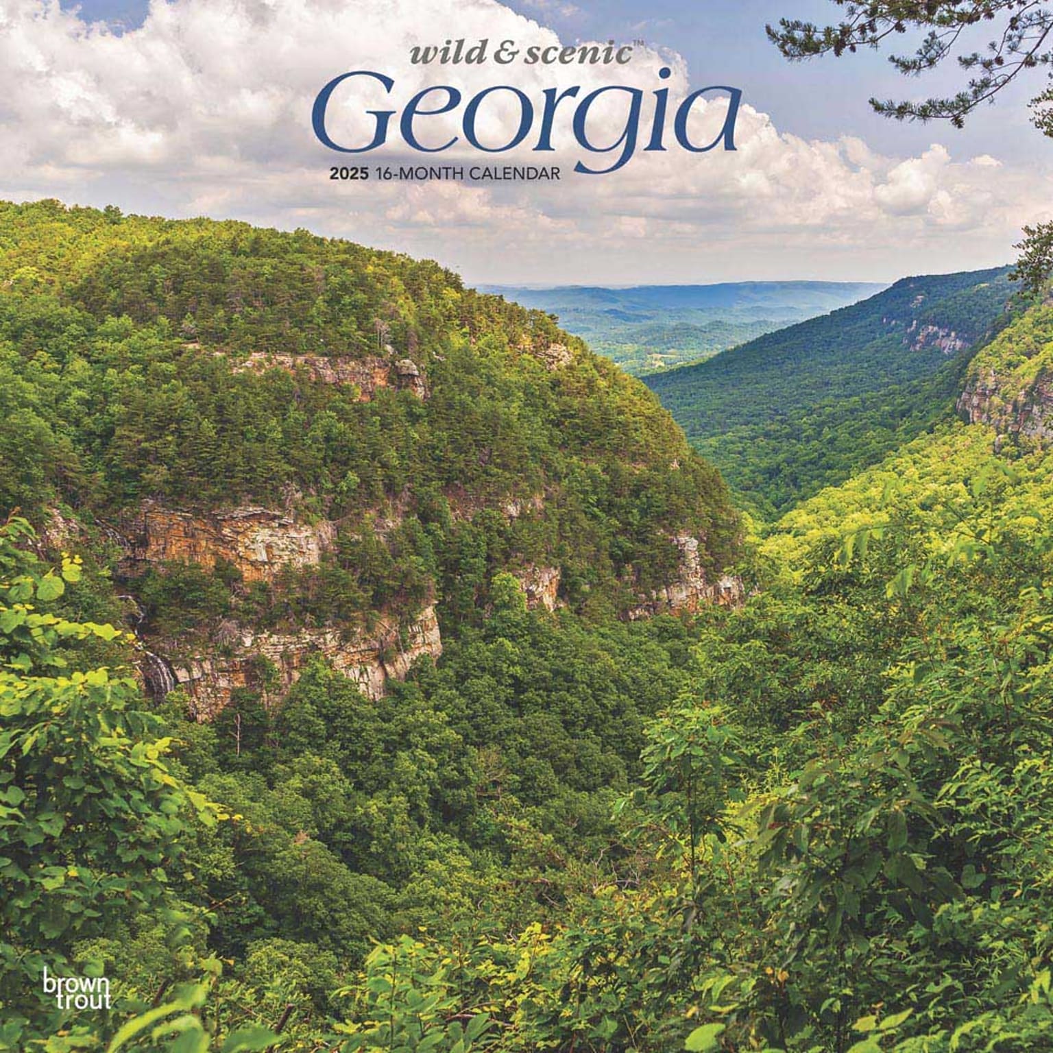 2025 BrownTrout Georgia Wild & Scenic 12 x 12 Monthly Square Wall Calendar (9781975474836)