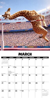 2027 Willow Creek Animal Olympics 12" x 12" Monthly Wall Calendar, Assorted Colors (65082)