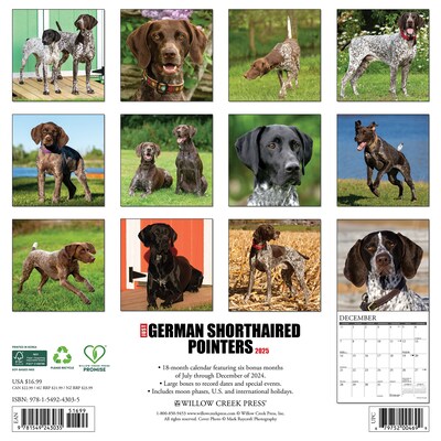 2025 Willow Creek Just German Shorthaired Pointers 12 x 12 Monthly Wall Calendar (43035)