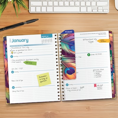 2027 Excello Brands 9 x 11 Weekly & Monthly Standard Planner, Paperboard Cover, Pastel Peacock (FSHN-CY27-8511-61)
